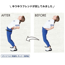 画像をギャラリービューアに読み込む, コウノエベルト　骨盤用レギュラー