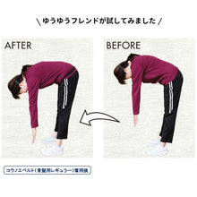 画像をギャラリービューアに読み込む, コウノエベルト　骨盤用レギュラー