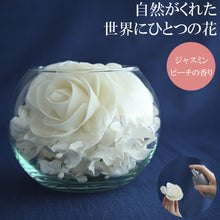 画像をギャラリービューアに読み込む, ソラの木から作られたポプリ＆フレグランスミストセット