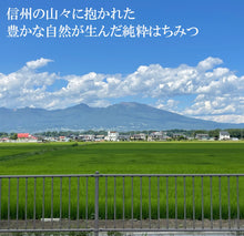 画像をギャラリービューアに読み込む, 「自在堂」信州産純粋生はちみつアカシア（300g）・百花蜜（300ｇ）各1本セット