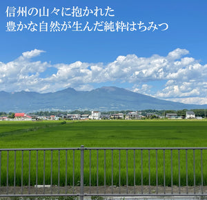 「自在堂」信州産純粋生はちみつアカシア（300g）・百花蜜（300ｇ）各1本セット