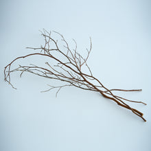 画像をギャラリービューアに読み込む, 林業から生まれた森の枝　ヒメシャラリードディフューザーセット